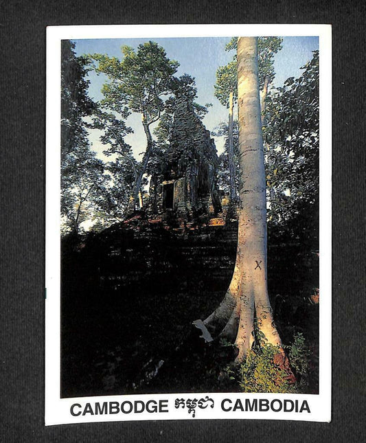 LUCKYPIGEON Cambodia Prasat Preah Palilay Siem Reap Temple Postcard (C1758)