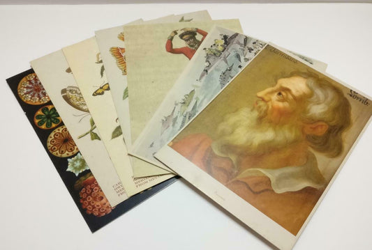 LUCKYPIGEON888 Portrait Plants Butterfly Planes Art Postcard Lot Of 7 (E0484)