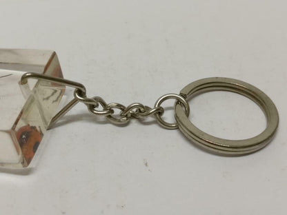 LP888 Vintage Flower Bug Insect Specimen Acrylic Transparent Keychain Keyring F/S B815
