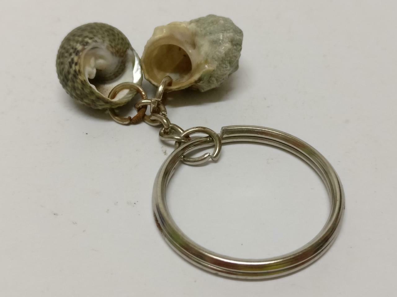 LP888 Rare Vintage Natural Seashells Art & Craft Souvenir Keychain Keyring F/S (B771)