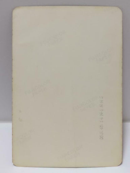Vintage Hong Kong Actress Rare Barbara Yung Weng Mei Ling 翁美玲 Photo F/S (P116)