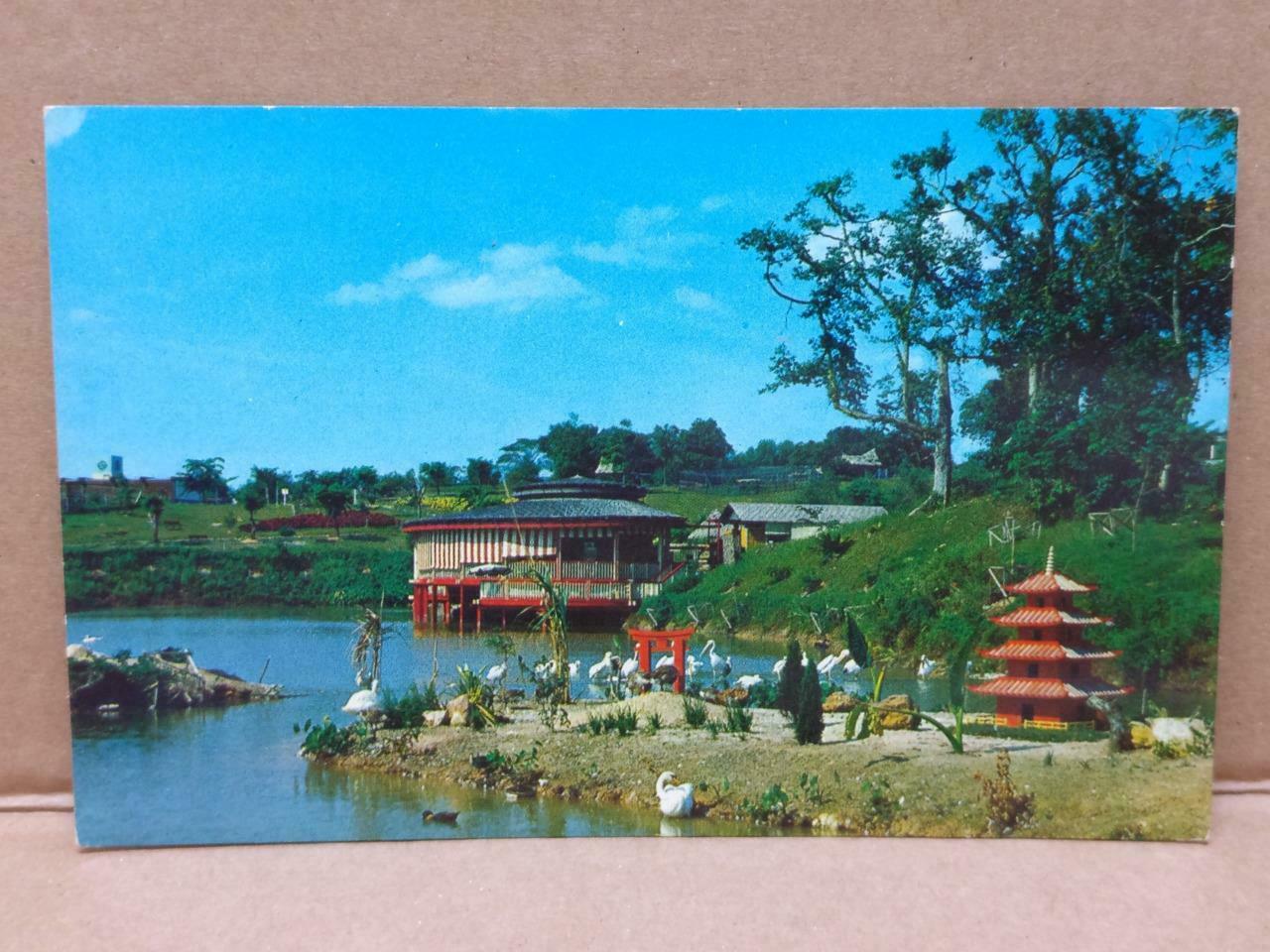 LUCKYPIGEON Jurong Bird Park Restaurant Tourist Spot Singapore Postcard (C1859)