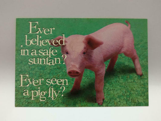 LUCKYPIGEON888 Cute Pig Piglet Piggy Green Grass Australia Ad Postcard (E0040)