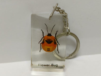 LP888 Vintage Flower Bug Insect Specimen Acrylic Transparent Keychain Keyring F/S B815