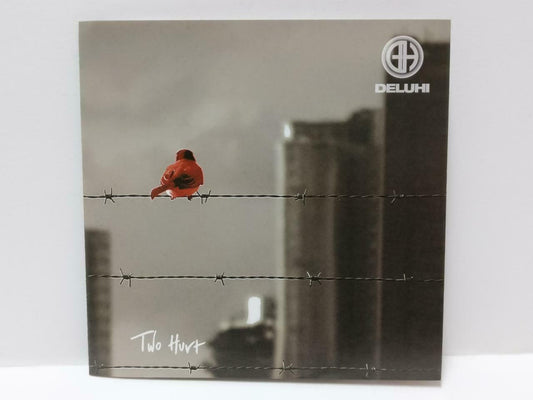 Japan Japanese JPop J-Pop DELUHI Two Hurt OBI 2009 Japan CD + DVD CDS479