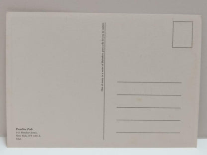 LUCKYPIGEON888 Heineken Beer Peculier Pub New York USA Ad Postcard (E0418)