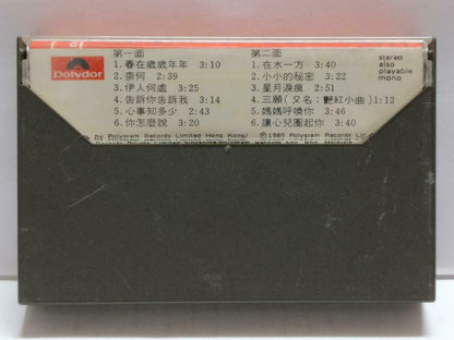 Taiwan Teresa Teng 邓丽君 在水一方 卡帶 磁帶 1980 Rare Singapore Chinese Cassette CT819