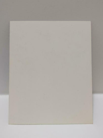 Vintage Taiwan Chinese Singer Lin Shu Rong 林淑容 Photo Card F/S (P185)