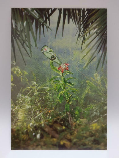 LUCKYPIGEON888 Perrier Mineral Water Plants Jungle Australia Postcard (E0016)