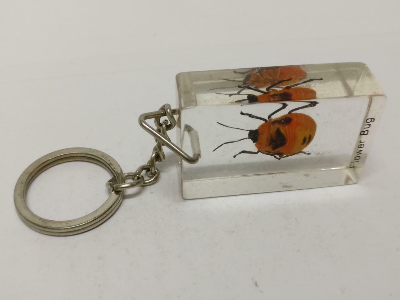 LP888 Vintage Flower Bug Insect Specimen Acrylic Transparent Keychain Keyring F/S B815