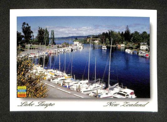 LUCKYPIGEON Lake Taupo Boat Harbour Scenery New Zealand Postcard (C1685)