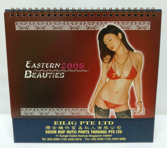 Asian Sexy Cheesecake Bikini Bra Ladies  Beauties 2009 Desk Calendar (A2088)
