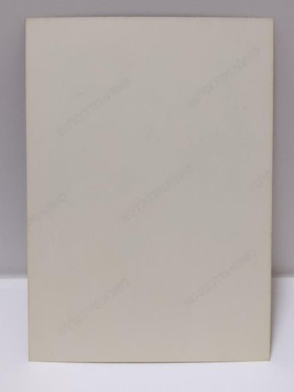 Vintage Hong Kong Actress Carina Lau 劉嘉玲 刘嘉玲 & Soft Toys Photo F/S (P110)