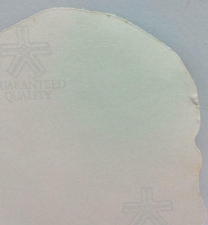 Vintage 80’s Sticker Neon Colourful Skull F/S (A802)