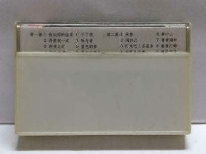 Taiwan Cai Qin 蔡琴 恰似你的温柔 不了情 卡帶 磁帶 1985 Rare Singapore Chinese Cassette CT804