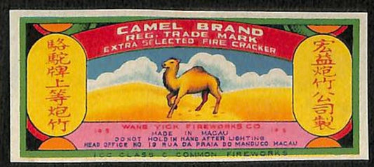 Rare Vintage China Macau Chinese Firecracker Label Camel Desert Blue Sky (AC308)