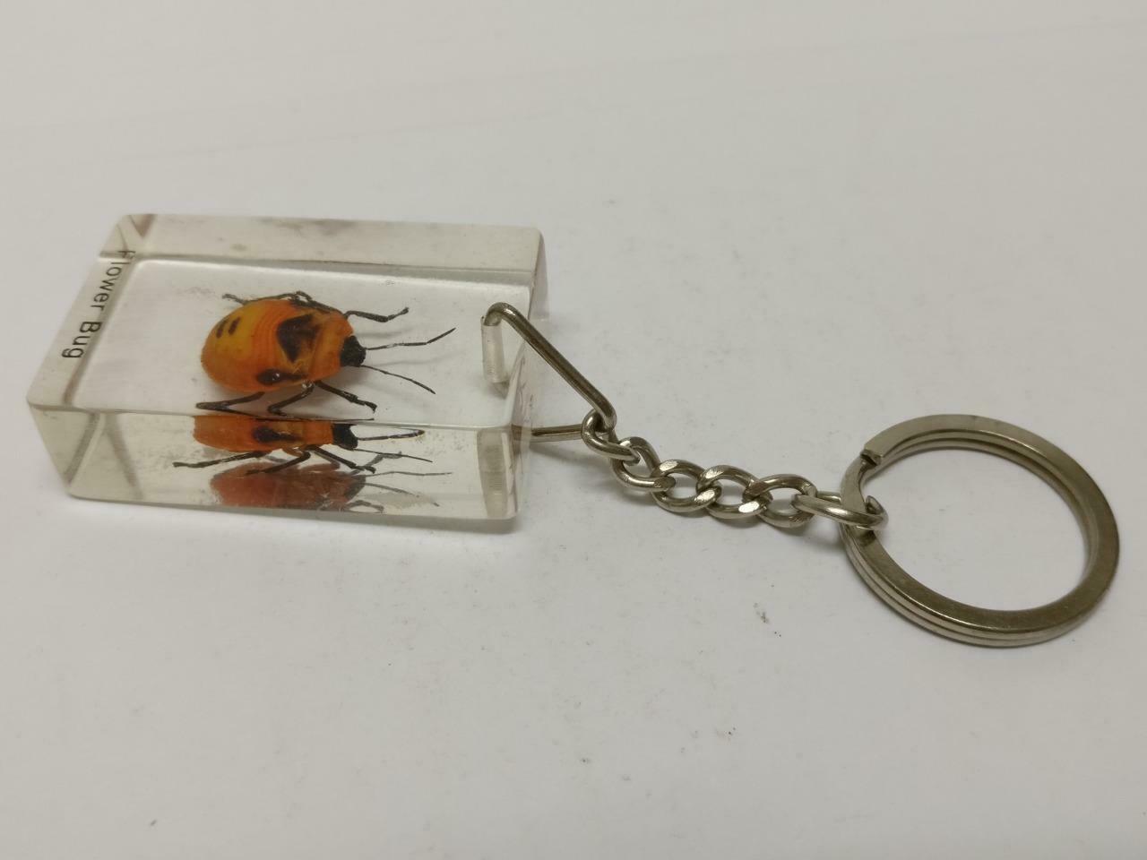 LP888 Vintage Flower Bug Insect Specimen Acrylic Transparent Keychain Keyring F/S B815