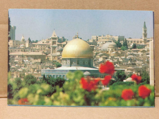 LUCKYPIGEON Israel Jerusalem Old City Seen From Mt. Of Olive Postcard (C1878)