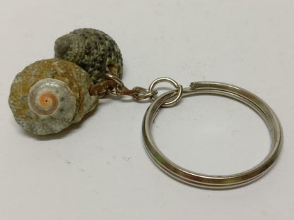 LP888 Rare Vintage Natural Seashells Art & Craft Souvenir Keychain Keyring F/S (B771)