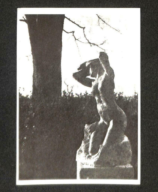 LUCKYPIGEON Toilette De Venus Photography Collection Postcard (C1724)