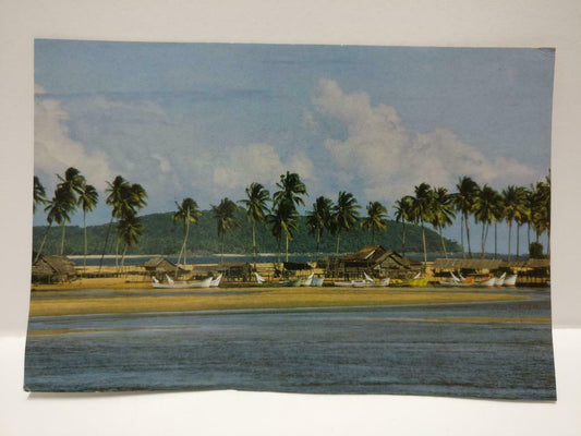Vintage Fishing Village Coconut Palms East Coast Malaysia Color Postcard (P579)
