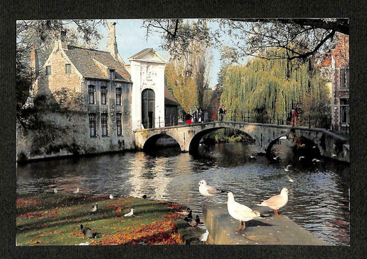 LUCKYPIGEON Entrance to the Beguinage Birds River Brussel Postcard (C1577)