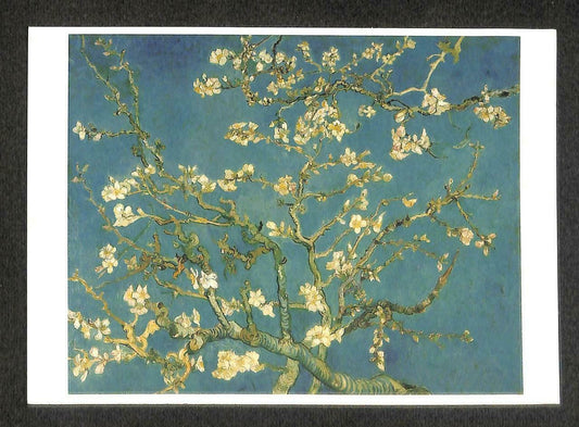 LUCKYPIGEON Vincent Van Gogh Blooming Almondbranch Netherlands Postcard (C1605)