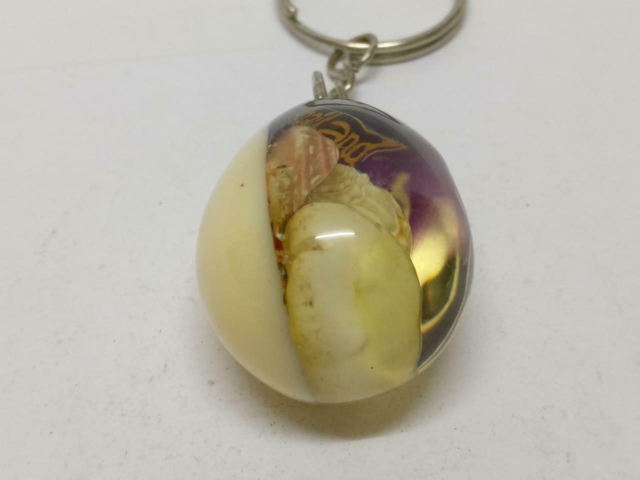LP888 Rare Vintage Thailand Beautiful Seashells Acrylic Souvenir Keychain keyring B799
