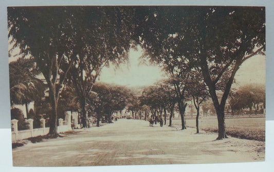 View Of Queen Street Singapore Vintage Singapore Postcard Reprint (AC140)