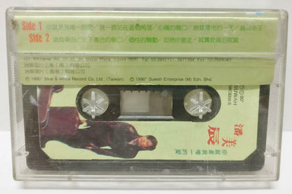 Taiwan Pan Mei Chen 潘美辰 你就是我唯一的爱 磁带 卡带 1990 Singapore Cassette (CT273)