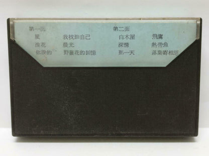 Taiwan Liu Wen Zheng 刘文正 风 卡帶 磁帶  Rare Singapore Chinese Cassette (CT427)