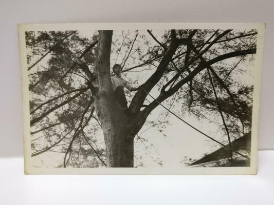 Vintage Chinese Man Posing From Tree Top Nature Candid Retro B&W Photo (P498)