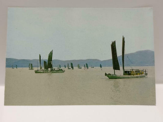 Vintage China Wuxi Taihu Lake Chinese Fishing Boat 无锡太湖 Postcard (P724)