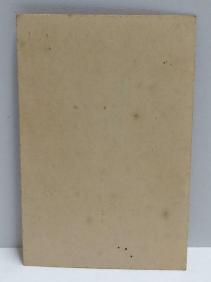Vintage Actress Vera Ellen Colour Mini Photo Trading Card  F/S (A2344)
