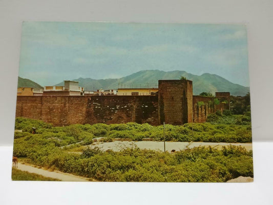 Vintage Hong Kong View Of 800 Year Old Kathing Walled City 新界锦田 Postcard (P730)