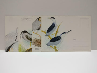 LUCKYPIGEON888 Singapore Philatelic Herons Bird Art Postcard Set Of 4 (E0493)