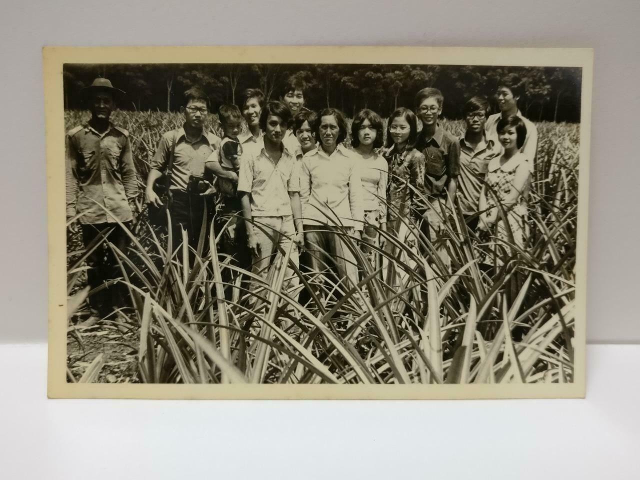 Vintage Asean Man Ladies Family & Friends Tall Grasses Outdoor B&W Photo (P496)