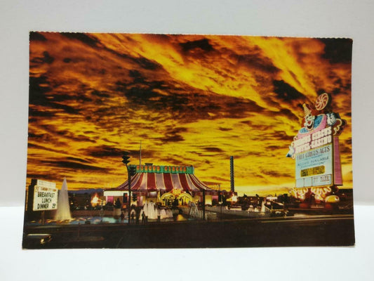 Vintage Circus Circus Hotel & Spa Las Vegas Nevada View Color Postcard (P644)