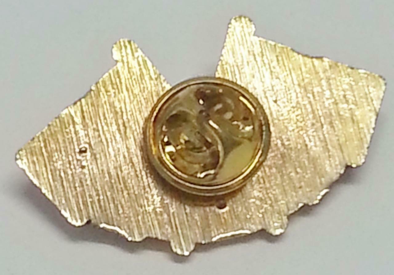 Rare Singapore Flag AARM Pin Badge F/S (B139)