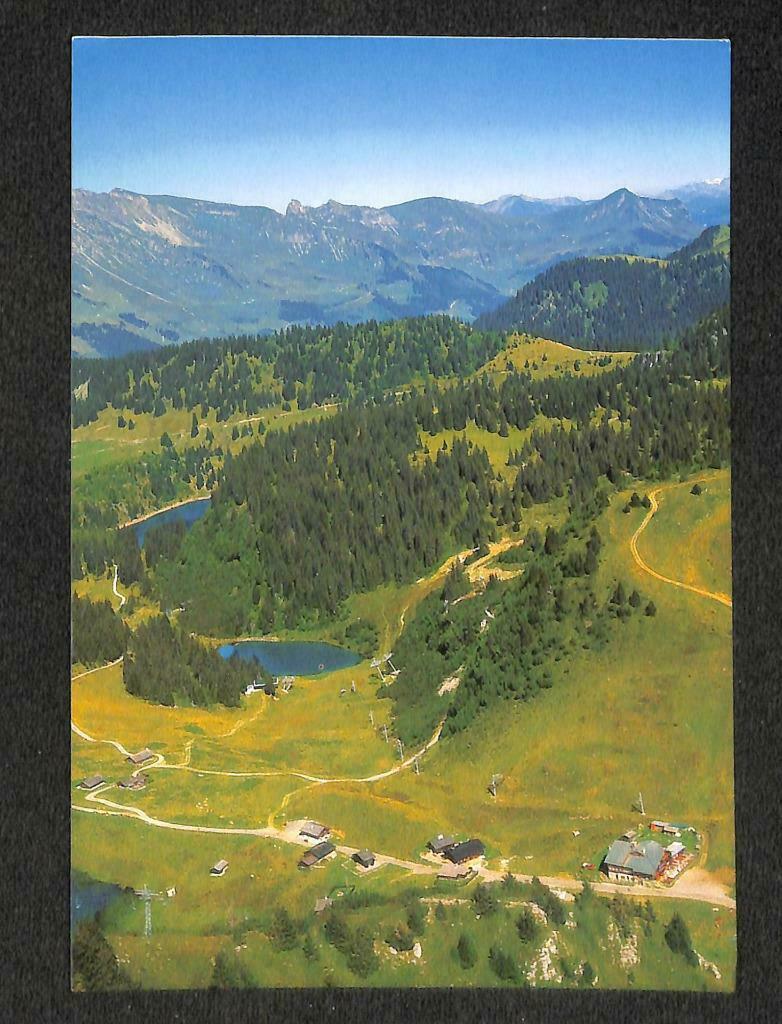 LUCKYPIGEON Lac De Bretaye Greenery Houses Mountains Postcard (C1709)