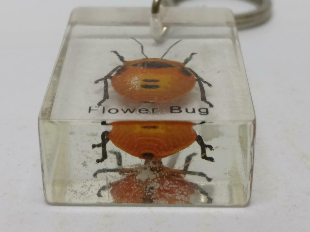 LP888 Vintage Flower Bug Insect Specimen Acrylic Transparent Keychain Keyring F/S B815