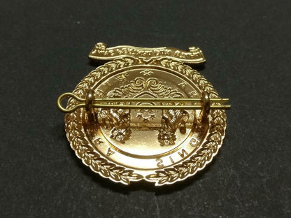 LKP99 Vintage Singapore Military Army Forces SAF Gold Tone Pin Badge F/S Lion B844