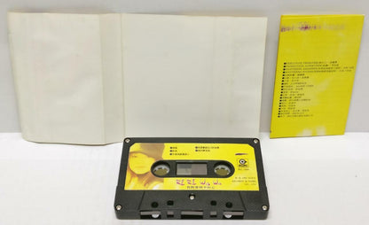 Taiwan WaWa Jing Zhi Juan 金智娟 我对爱情不灰心 磁带 卡带 1993 Overseas Cassette (CT337)