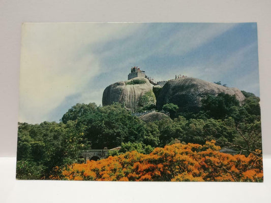 Vintage China View Of Sunlight Platform 晃岩还眺 Trees & Rock Postcard (P815)