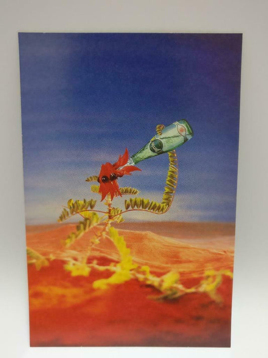 LUCKYPIGEON888 Perrier Mineral Water Bottle Art Australia Postcard Ad (E0010)