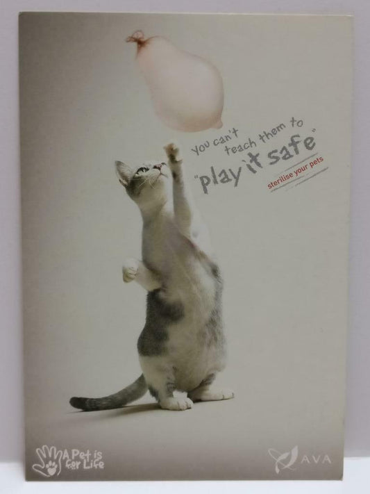 LUCKYPIGEON888 Sterilise Your Pets Cat 2006 Singapore Ad Postcard (E0215)