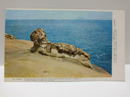 Taiwan Sea Turtle Unique Structure Beach Sea Dragon Place Color Postcard (P656)