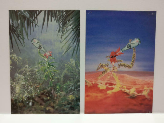 LUCKYPIGEON888 Perrier Water Plants Bottles Australia Postcard Lot Of 2 (E0476)