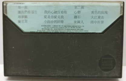Taiwan Liu Wen Zheng 刘文正 劉文正 兰花草 卡帶 磁帶  Rare Singapore Cassette (CT309)