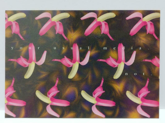 LUCKYPIGEON888 Pink Banana Fruit Singapore Media Advertisement Postcard (E0154)